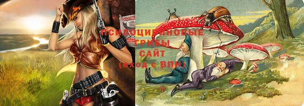 прущая мука Алзамай