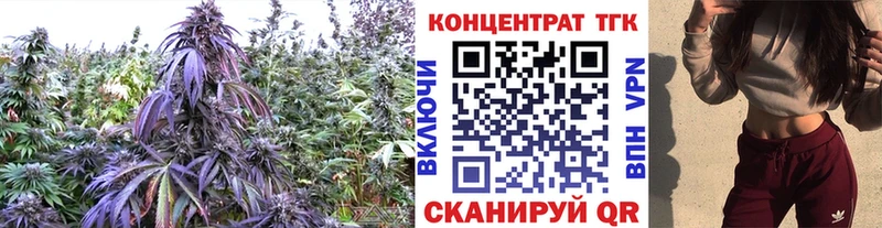 OMG зеркало  Куровское  ТГК жижа 