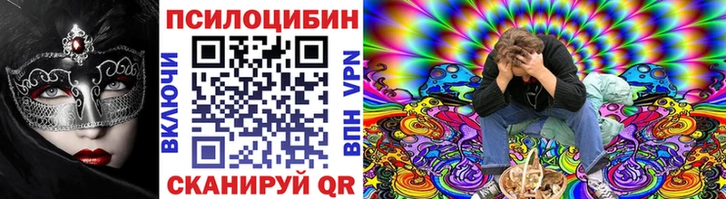 купить  цена  Куровское  Псилоцибиновые грибы Cubensis 